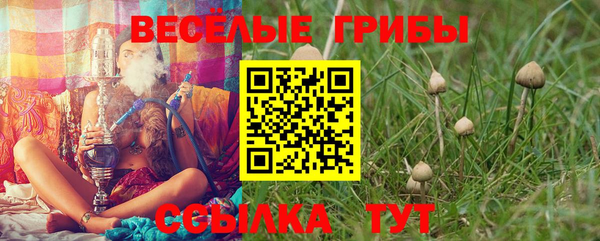 Сорочинск  Галлюциногенные грибы MAGIC MUSHROOMS  Вход с VPN 